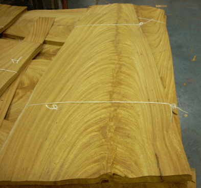 Cerejera crotch A1 - Veneer & Lumber - Since1954