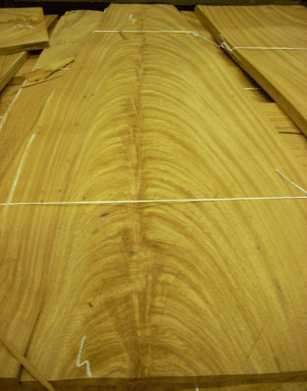 Cerejera crotch A2 - Veneer & Lumber - Since1954